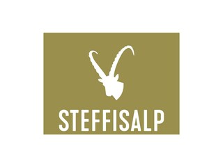 STE Logo 2020 4 Sterne CMYK