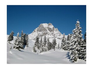 Widderstein/Hochkrumbach