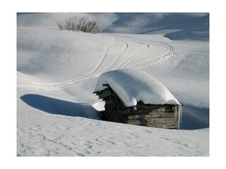 Holzstapel im Schnee