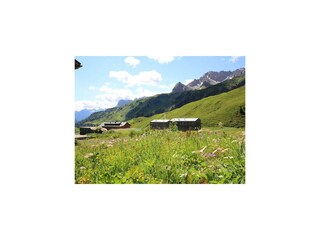Erlebe Natur - Hotel Adler Warth am Arlberg