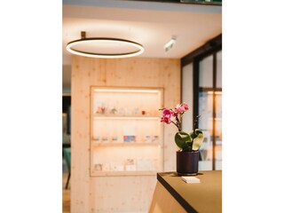 Empfangsbereich | Alpin - Studios & Suites