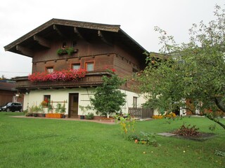 IMG_4877