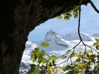 Schwarzkopf im Habachtal