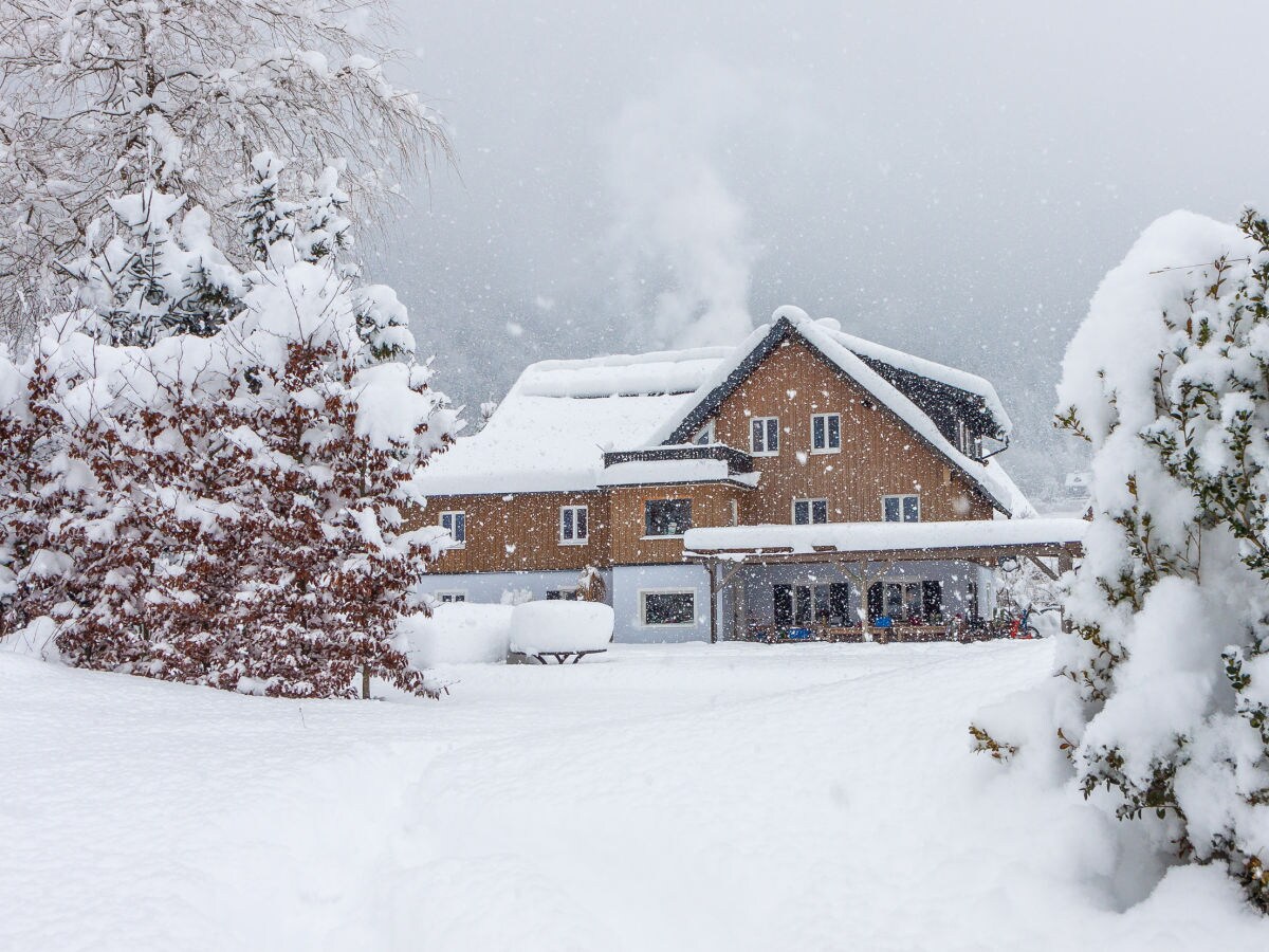 Cottage Obertraun Outdoor Recording 1