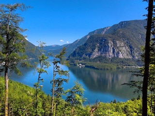 Der Hallstätter See