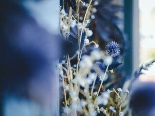 Additional Pictures_6