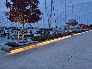 Chalet Makkum Environment 26