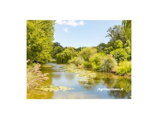 Appartamento per vacanze Soiano del Lago Caratteristiche 31