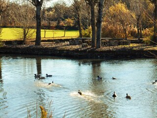 Appartamento per vacanze Soiano del Lago Registrazione all'aperto 17