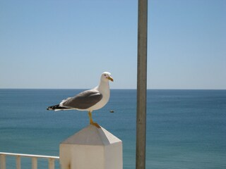 Villa Caramujeira Ambiente 30