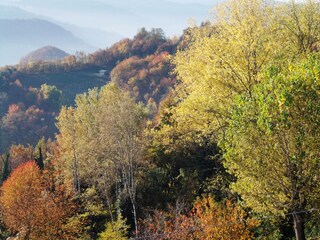 Appartamento per vacanze Castino Ambiente 25