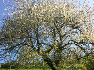 Appartamento per vacanze Castino Ambiente 24