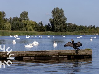 Apartment Giethoorn Environment 33