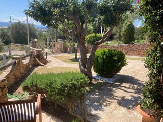 Eingangstor und Zufahrt