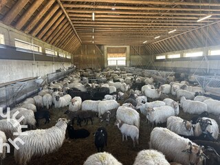 Ferienhaus Havelte Umgebung 23