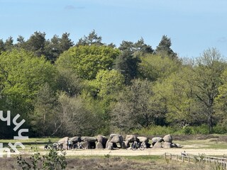 Ferienhaus Havelte Umgebung 25