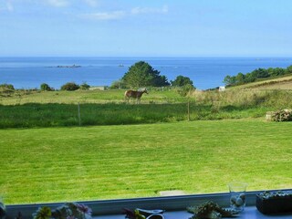 Ferienhaus Plougasnou  15