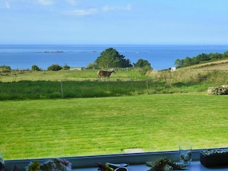 Holiday house Plougasnou  15