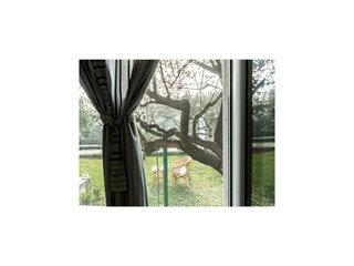 Holiday park Sumartin Outdoor Recording 10