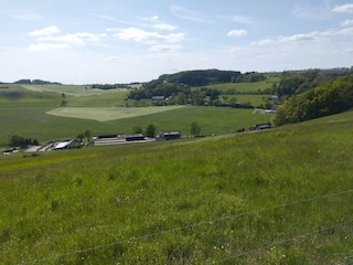 Appartement Winkel (Eifel) Environnement 33