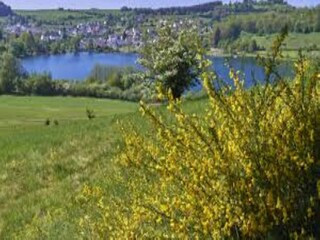 Appartement Winkel (Eifel) Omgeving 20