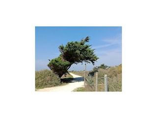 Casa per le vacanze Saint-Georges-d'Oléron Ambiente 9