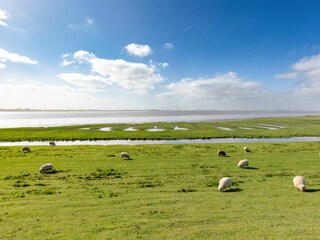 Holiday house Tönning Outdoor Recording 32