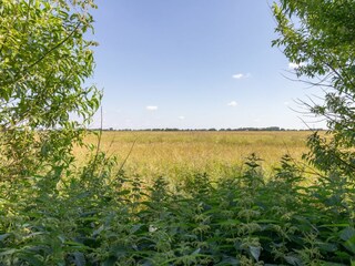 Ferienwohnung Hallig Nordstrandischmoor Außenaufnahme 26