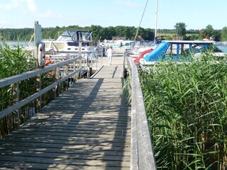 Appartamento per vacanze Alt Schwerin Ambiente 7