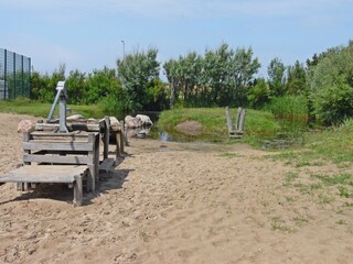 Casa per le vacanze Petten Ambiente 18