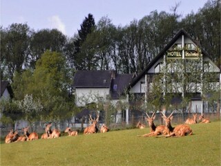 Hotel Bürdenbach  26