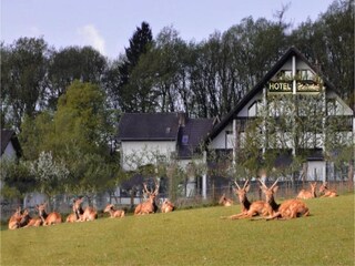 Hotel Bürdenbach Buitenaudio-opname 9