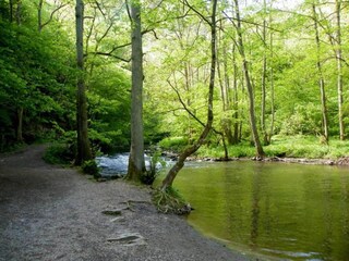 Appartamento Bürdenbach Ambiente 16