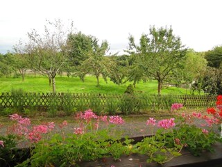 Appartamento Bürdenbach Registrazione all'aperto 13