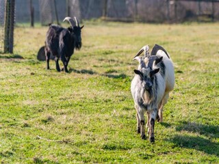 Appartement Bürdenbach Environnement 17