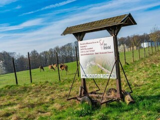 Hotel Bürdenbach Ambiente 20