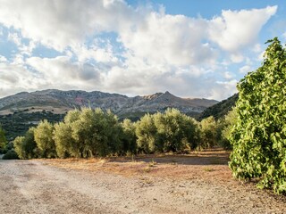 Casa de vacaciones Algarinejo Entorno 29