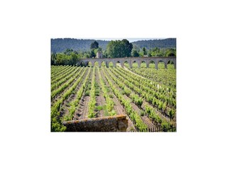 Appartamento Homps Ambiente 16