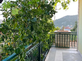Apartment Marina in Kroatien Outdoor Recording 3