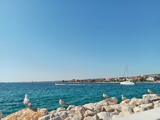 Apartamento Bibinje Entorno 23