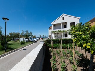 Apartment Nin  31