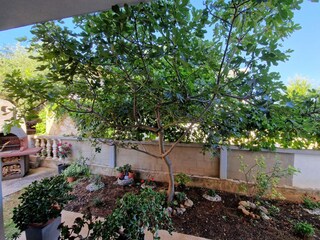 Appartement Povljana  26