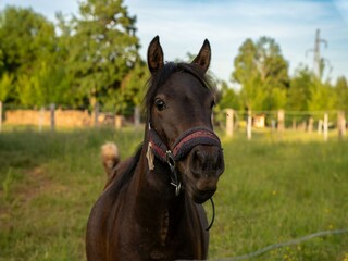 Villa Lukovo Šugarje Umgebung 52