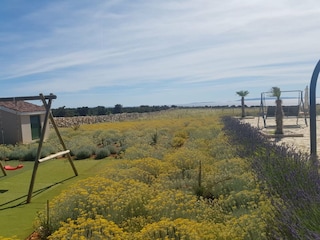 Villa Novalja Outdoor Recording 13