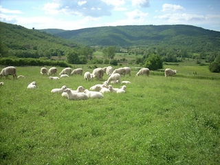 Bauernhof Passignano sul Trasimeno Umgebung 38