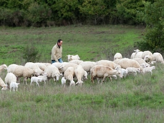 Bauernhof Passignano sul Trasimeno Umgebung 27