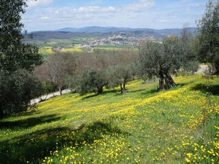 Casa de campo Passignano sul Trasimeno Entorno 27
