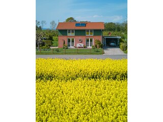 Ferienhaus Wackerballig Außenaufnahme 18