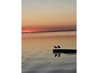 Ferienhaus Wackerballig Umgebung 35