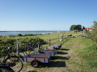 Strand von Wackerballig mit flach abfallenden Einstieg